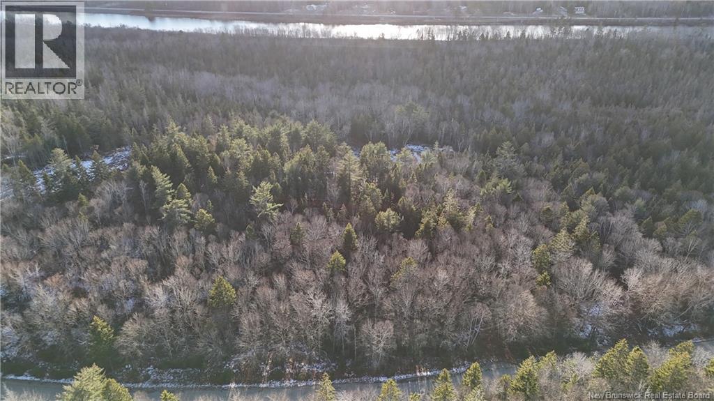 Canal Road, Canal, New Brunswick E5C 1H1 - Photo 6 - NB130366