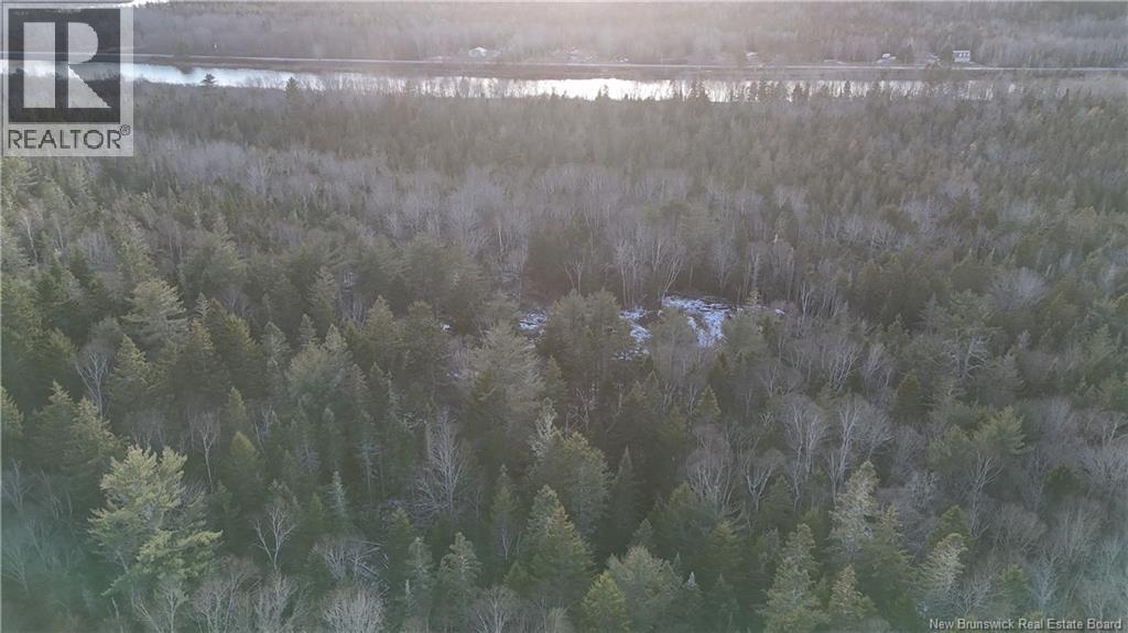 Canal Road, Canal, New Brunswick E5C 1H1 - Photo 7 - NB130366