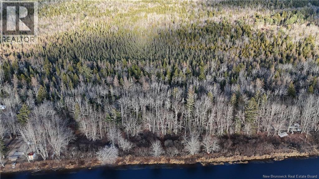 Canal Road, Canal, New Brunswick E5C 1H1 - Photo 8 - NB130366