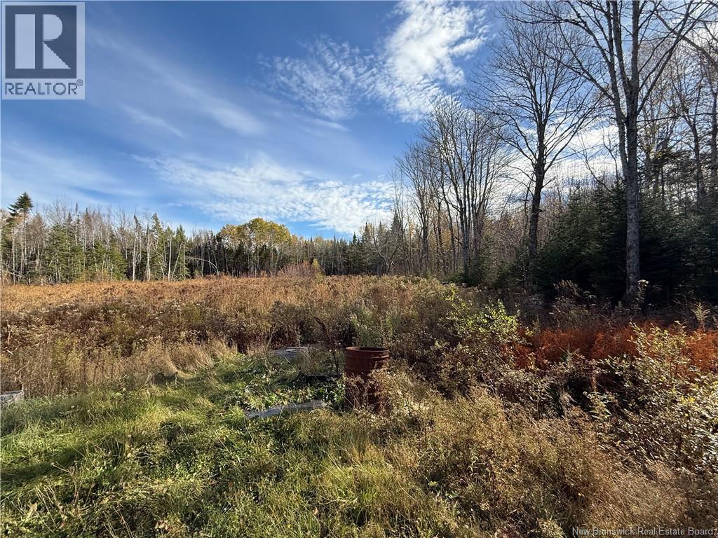 1180 Route 745, Canoose, New Brunswick  E5A 1K1 - Photo 13 - NB130568