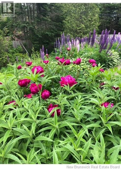 104 Lancelot Drive, Quispamsis, New Brunswick E2E 1R8 - Photo 44 - NB130357