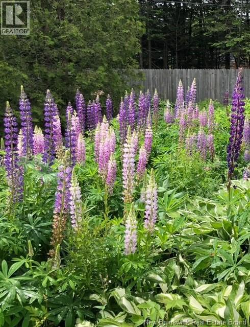 104 Lancelot Drive, Quispamsis, New Brunswick E2E 1R8 - Photo 45 - NB130357