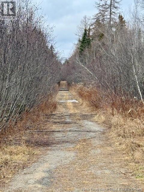 00 Dixon Road, Lawrence Station, New Brunswick  E5A 1S8 - Photo 4 - NB130656