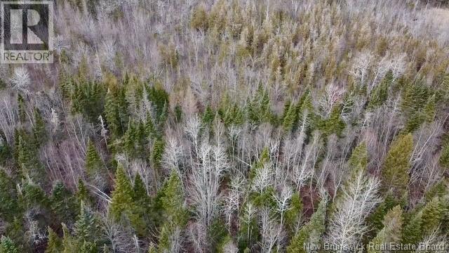 00 Dixon Road, Lawrence Station, New Brunswick  E5A 1S8 - Photo 6 - NB130656