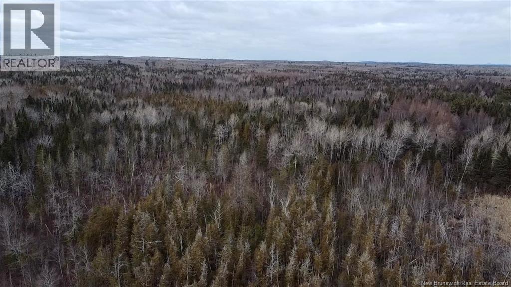 00 Dixon Road, Lawrence Station, New Brunswick  E5A 1S8 - Photo 8 - NB130656