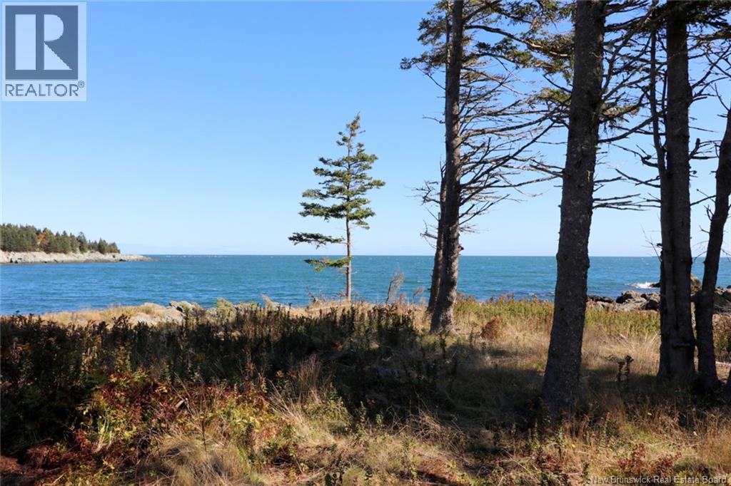 463 White Head Road, Grand Manan, New Brunswick  E5G 2K1 - Photo 12 - NB130709