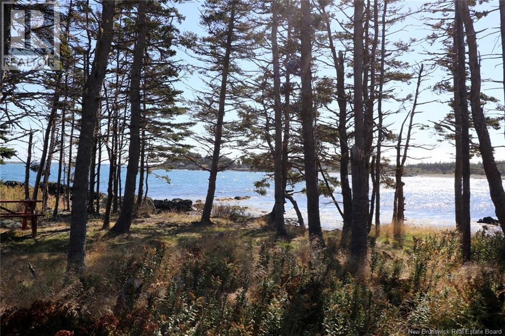 463 White Head Road, Grand Manan, New Brunswick  E5G 2K1 - Photo 14 - NB130709