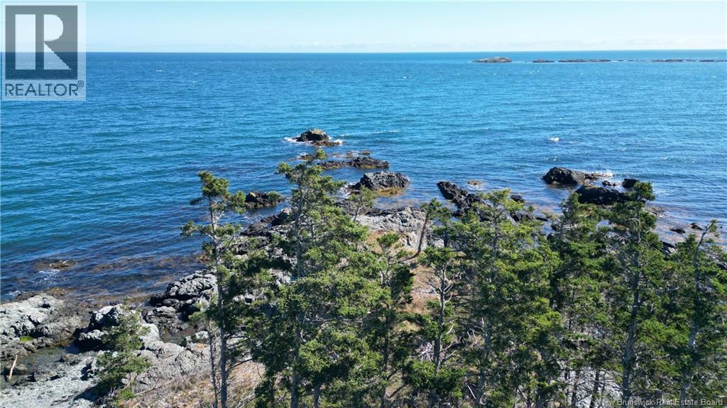 463 White Head Road, Grand Manan, New Brunswick  E5G 2K1 - Photo 4 - NB130709