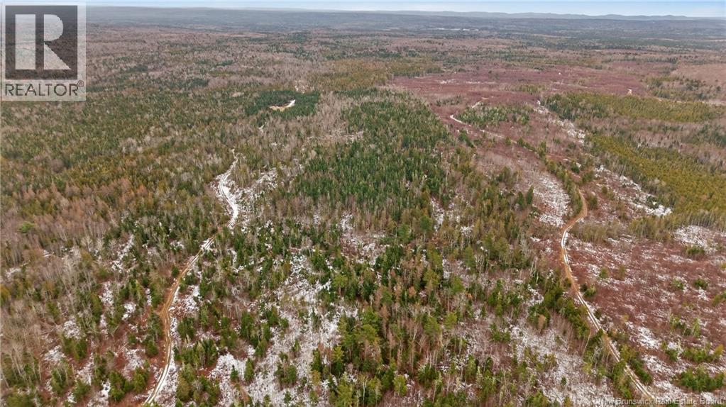 000 Lynnfield Place, Oak Hill, New Brunswick  E5A 2B2 - Photo 2 - NB130640