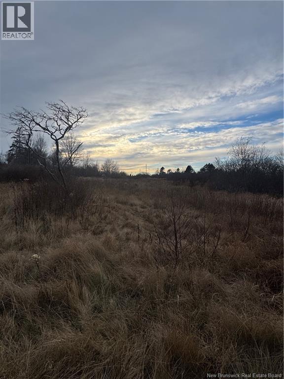 16 Shiloh Road, Grand Manan, New Brunswick  E5G 4M1 - Photo 7 - NB130705