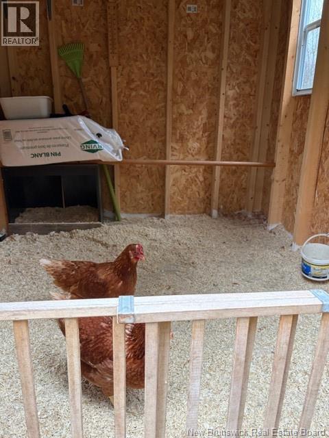 720 Boyd Road, Elmsville, New Brunswick E5A 1M8 - Photo 11 - NB130865