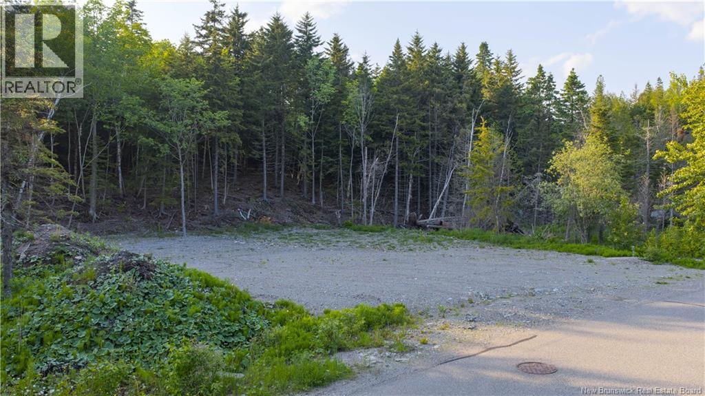 Deer Glen Drive, Saint John, New Brunswick  E2H 2Z5 - Photo 4 - NB127855