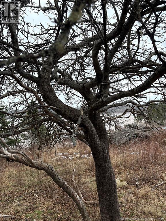 1480 Route 790, Dipper Harbour, New Brunswick E5J 1W3 - Photo 4 - NB131332