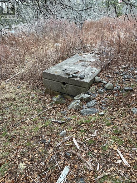 1480 Route 790, Dipper Harbour, New Brunswick E5J 1W3 - Photo 5 - NB131332