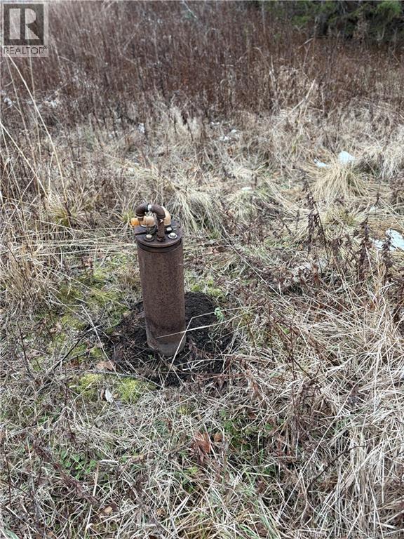 1480 Route 790, Dipper Harbour, New Brunswick E5J 1W3 - Photo 6 - NB131332