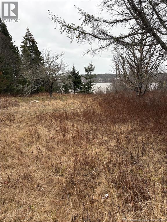 1480 Route 790, Dipper Harbour, New Brunswick E5J 1W3 - Photo 7 - NB131332