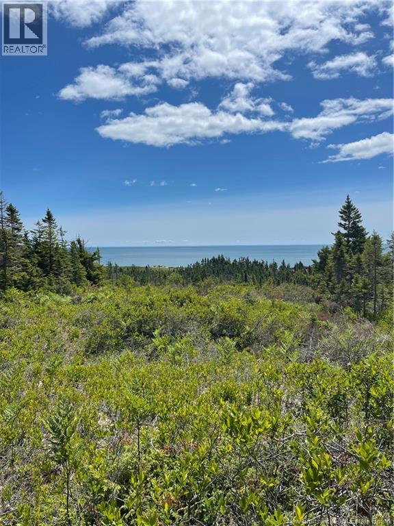 1888 Route 790, Dipper Harbour, New Brunswick  E5J 2R2 - Photo 10 - NB131367