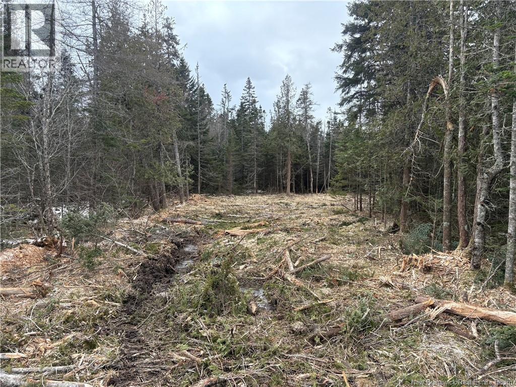 NA Route 790, Dipper Harbour, New Brunswick