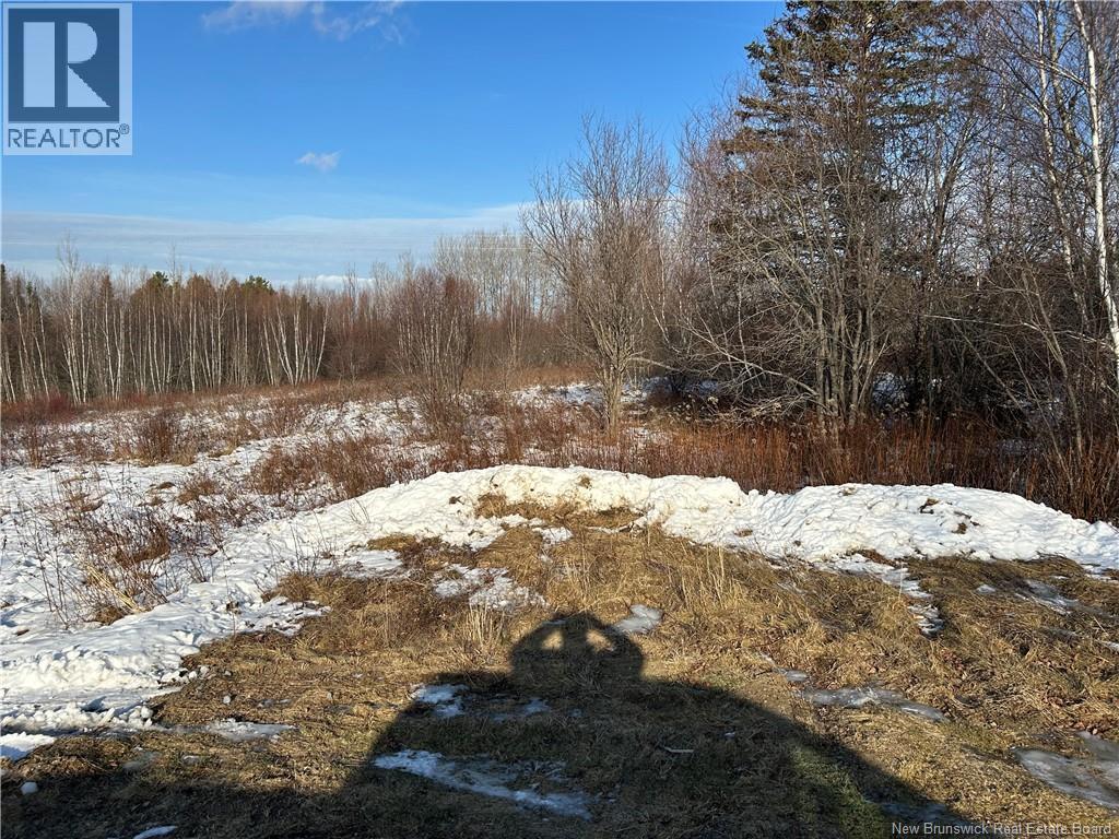 O Resevoir Road, St. Stephen, New Brunswick E3L 4T4 - Photo 2 - NB131409