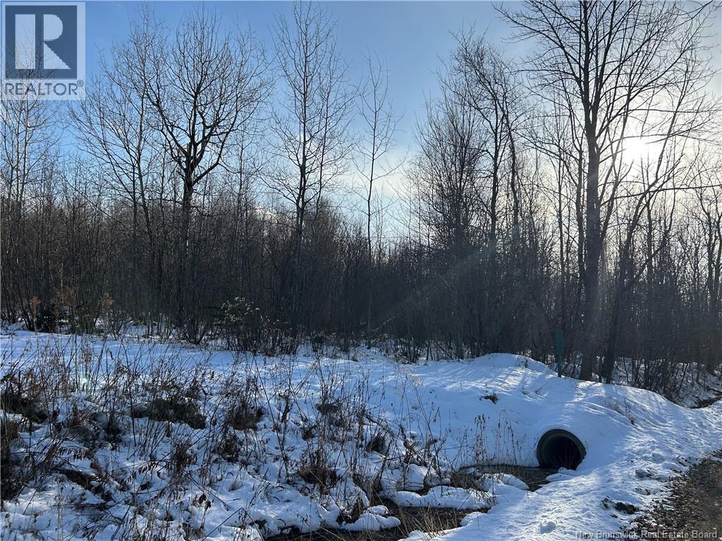 O Resevoir Road, St. Stephen, New Brunswick E3L 4T4 - Photo 3 - NB131409