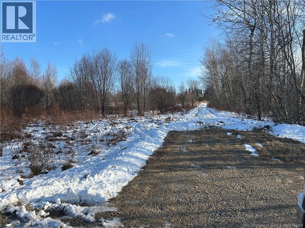 O Resevoir Road, St. Stephen, New Brunswick E3L 4T4 - Photo 5 - NB131409