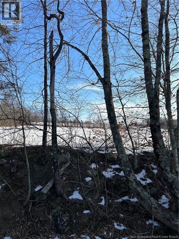 O Resevoir Road, St. Stephen, New Brunswick E3L 4T4 - Photo 6 - NB131409
