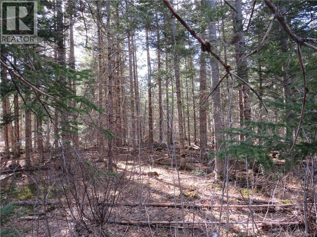 South Oromocto Lake Road, South Oromocto Lake, New Brunswick  E5L 2R9 - Photo 9 - NB131466