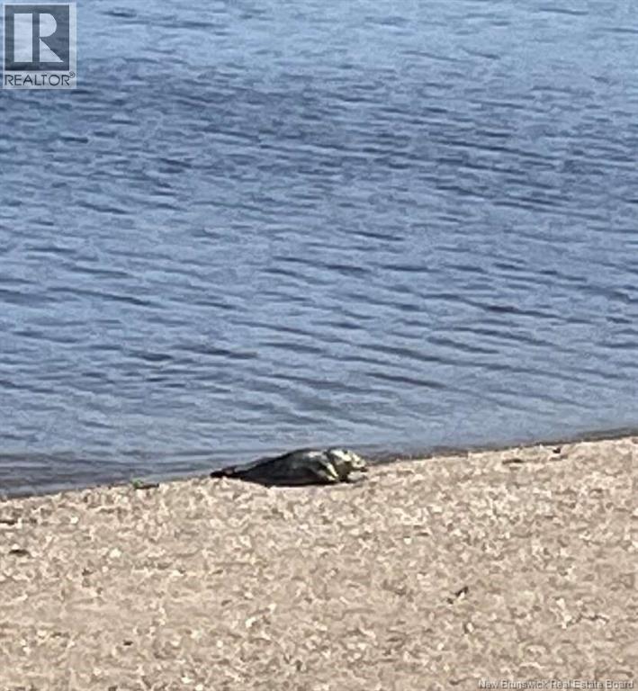 458 Summer Street, Saint John, New Brunswick  E2M 2P8 - Photo 8 - NB131477