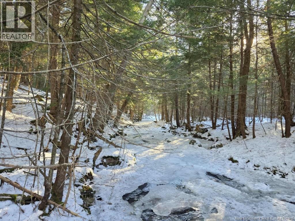 0 Crest Avenue, Heathland, New Brunswick E3L 5C1 - Photo 2 - NB131431