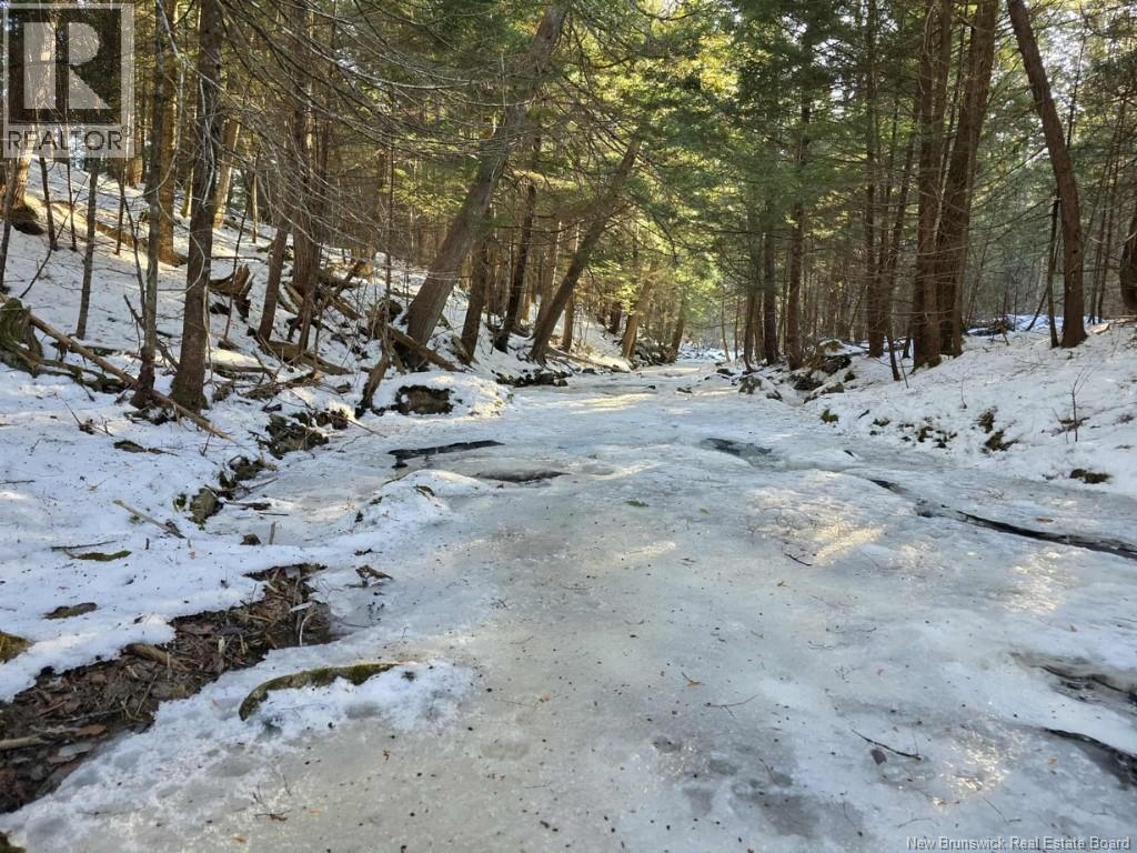 0 Crest Avenue, Heathland, New Brunswick E3L 5C1 - Photo 4 - NB131431