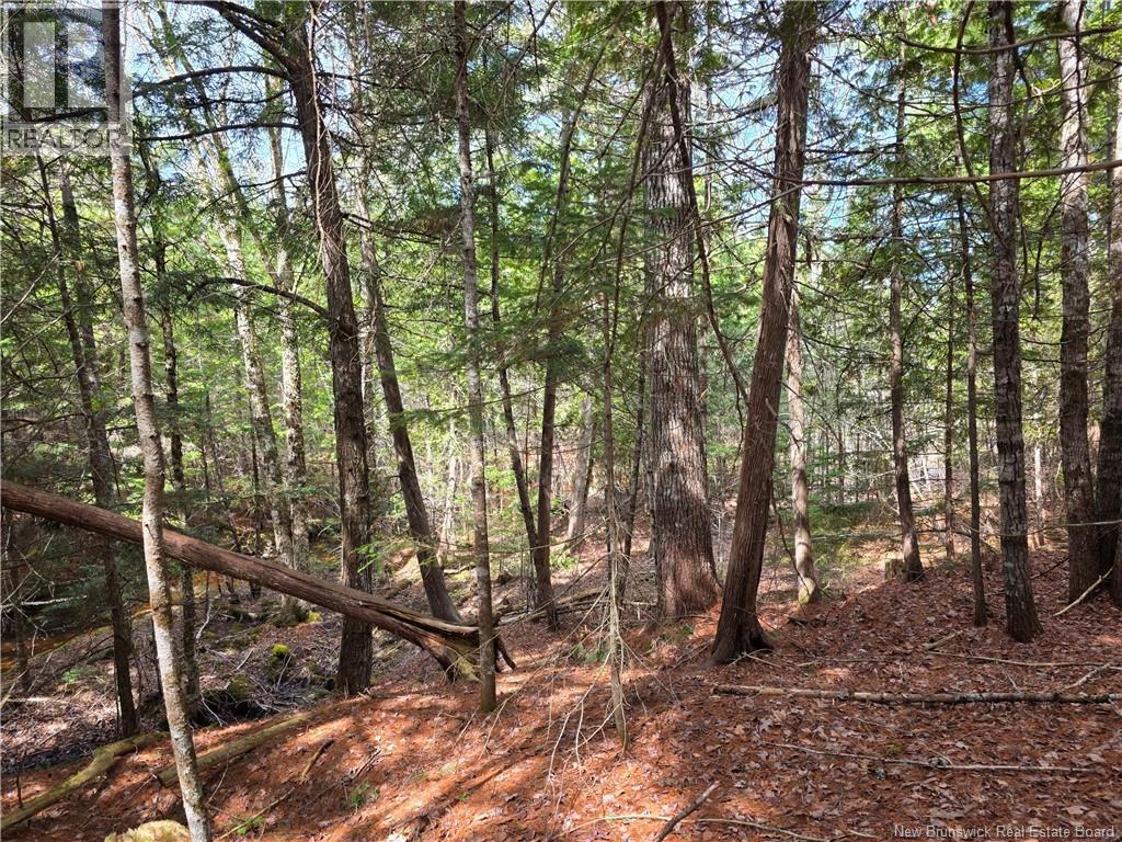0 Crest Avenue, Heathland, New Brunswick  E3L 5C1 - Photo 8 - NB131431