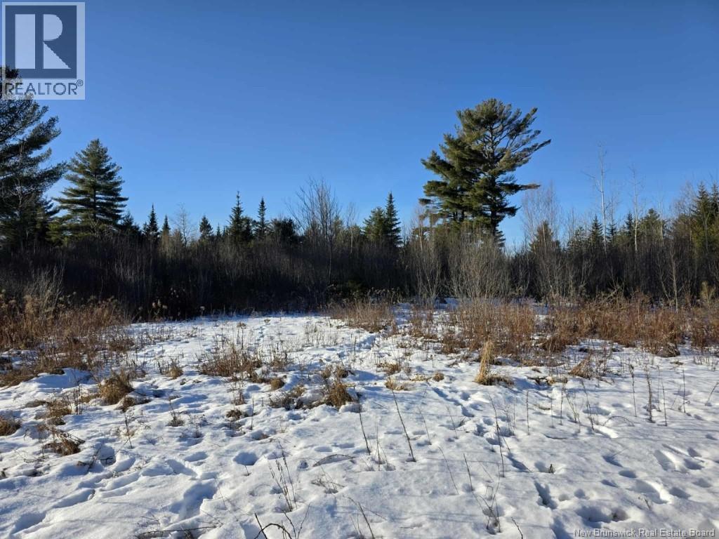 00 Crest Avenue, Heathland, New Brunswick E3L 5C1 - Photo 4 - NB131432