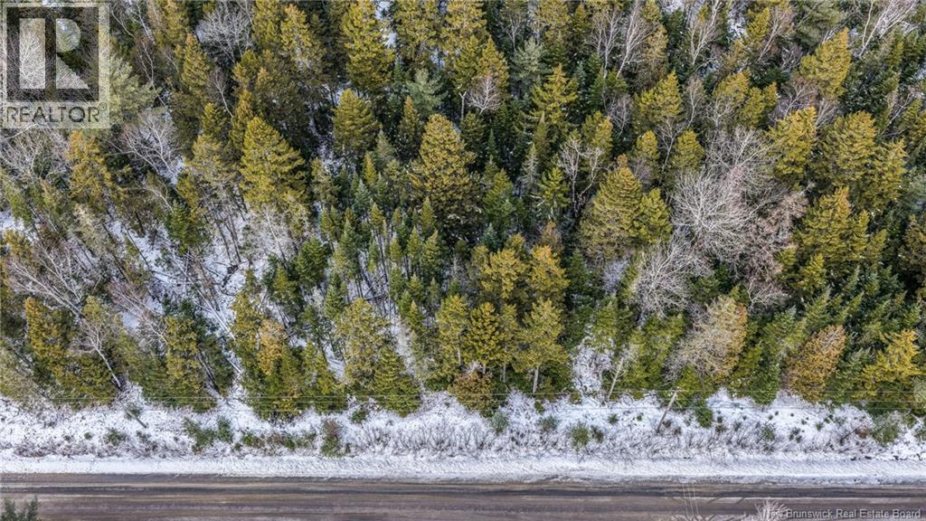 Lot Todds Point Road, Dufferin, New Brunswick  E3L 3R5 - Photo 22 - NB131960