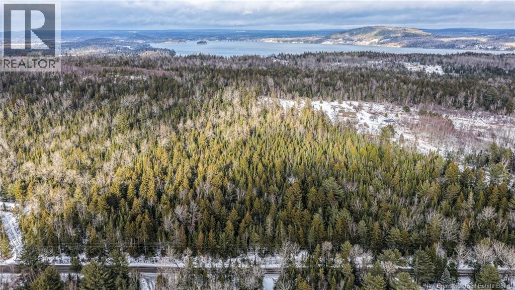 Lot Todds Point Road, Dufferin, New Brunswick  E3L 3R5 - Photo 24 - NB131960