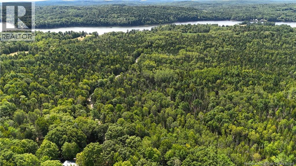 135 Pine Point Road, Dufferin, New Brunswick  E3L 0G7 - Photo 49 - NB131699