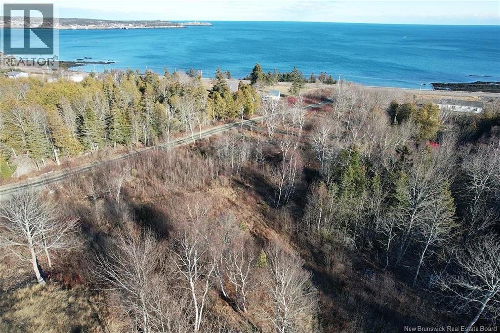 Wellington Drive, Grand Manan, New Brunswick  E5G 1M8 - Photo 1 - NB132240