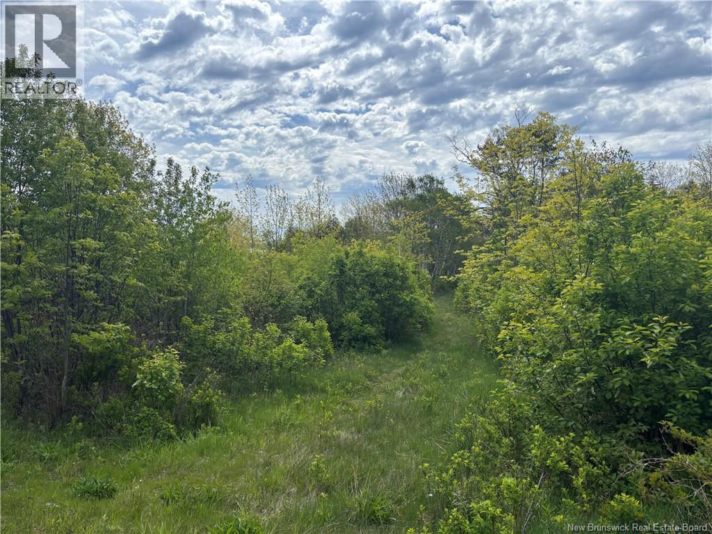 Wellington Drive, Grand Manan, New Brunswick E5G 1M8 - Photo 10 - NB132240