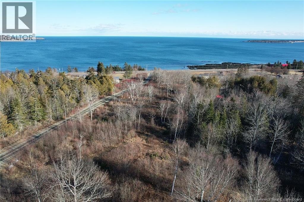 Wellington Drive, Grand Manan, New Brunswick  E5G 1M8 - Photo 2 - NB132240