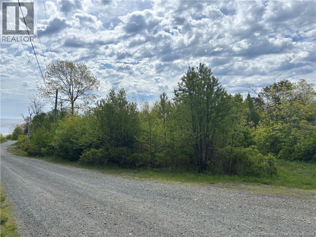 Wellington Drive, Grand Manan, New Brunswick E5G 1M8 - Photo 9 - NB132240