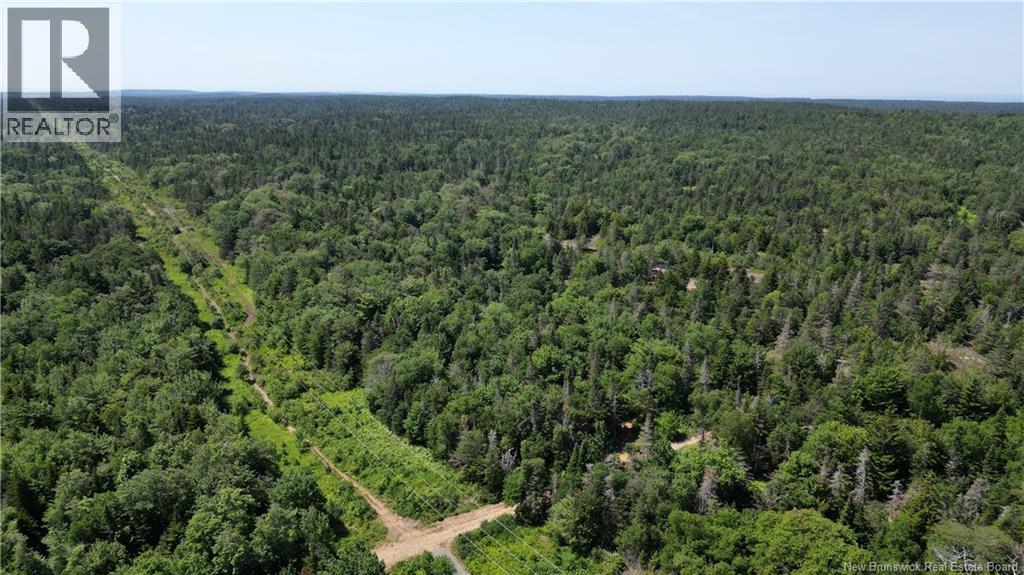 Money Cove Brook, Grand Manan, New Brunswick E5G 1L8 - Photo 10 - NB132276