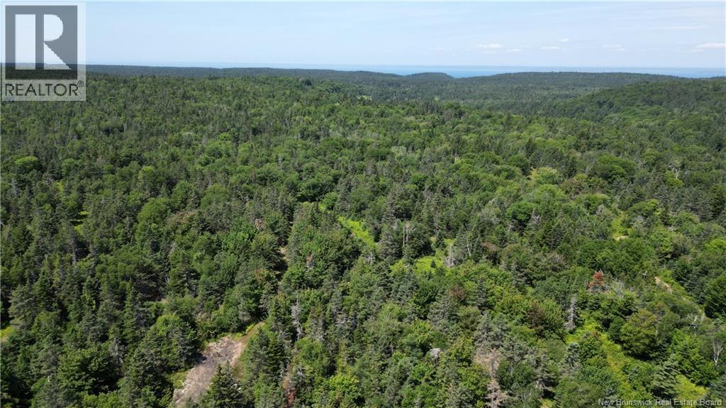 Money Cove Brook, Grand Manan, New Brunswick E5G 1L8 - Photo 13 - NB132276