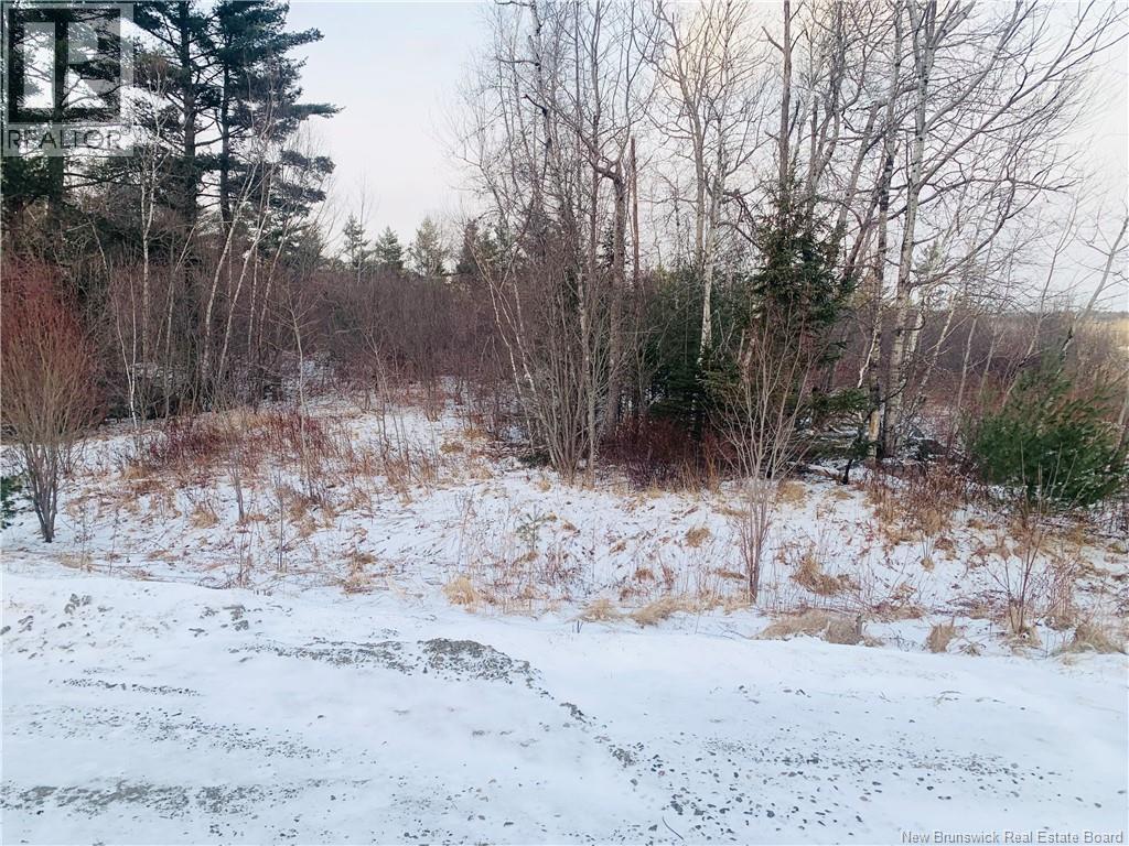 Land Hayman Avenue, St. Stephen, New Brunswick E3L 5E4 - Photo 4 - NB132438