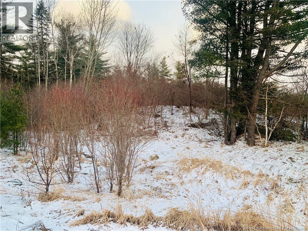 Land Hayman Avenue, St. Stephen, New Brunswick E3L 5E4 - Photo 5 - NB132438