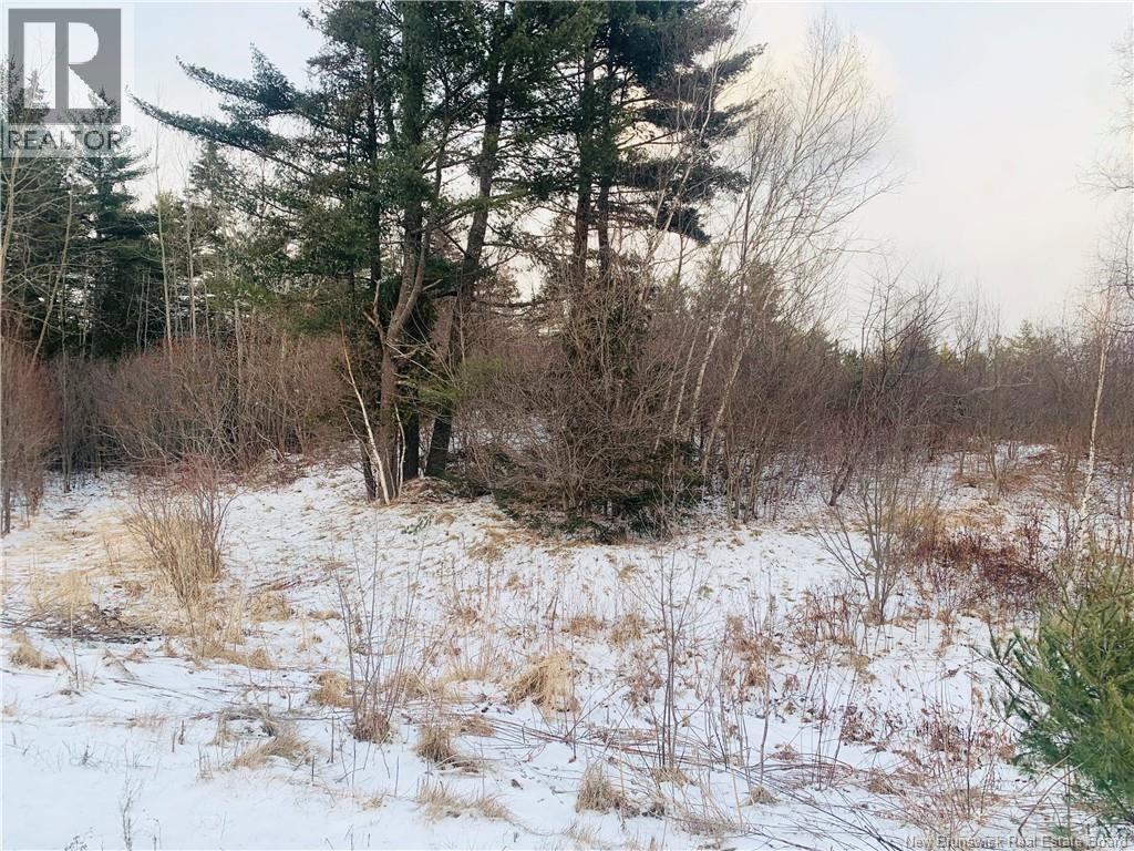 Land Hayman Avenue, St. Stephen, New Brunswick E3L 5E4 - Photo 6 - NB132438