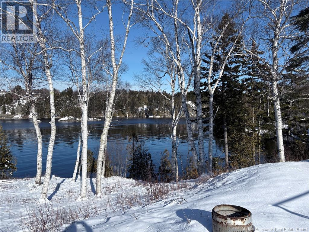 1113 Mascarene Road, Caithness, New Brunswick  E5C 2T6 - Photo 15 - NB132447