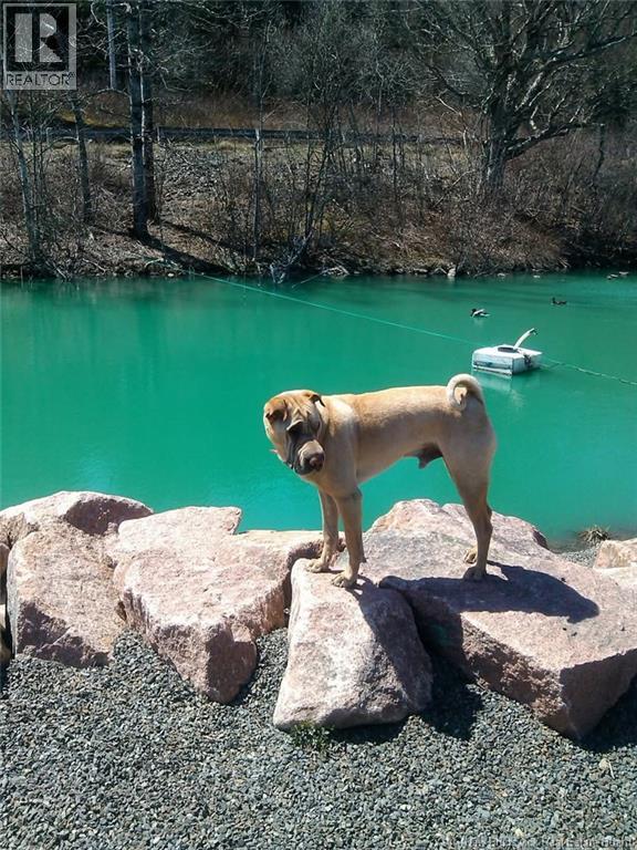 1113 Mascarene Road, Caithness, New Brunswick  E5C 2T6 - Photo 9 - NB132447