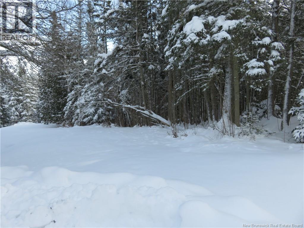 110 Model Farm Road, Quispamsis, New Brunswick  E2E 4Z8 - Photo 28 - NB132453
