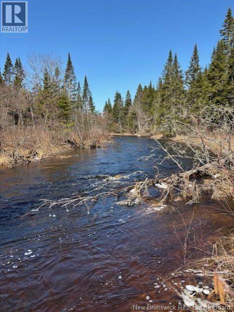 75 Pomeroy Ridge Road, Pomeroy Ridge, New Brunswick E3L 5L9 - Photo 3 - NB132790