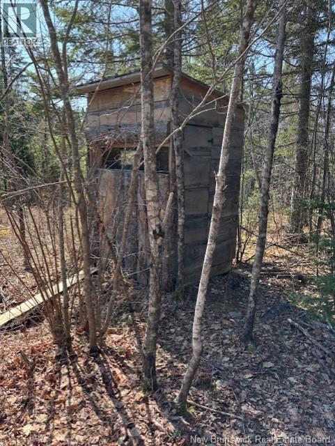 75 Pomeroy Ridge Road, Pomeroy Ridge, New Brunswick E3L 5L9 - Photo 6 - NB132790