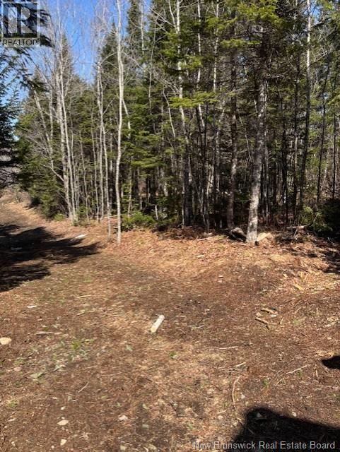 75 Pomeroy Ridge Road, Pomeroy Ridge, New Brunswick E3L 5L9 - Photo 8 - NB132790